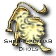 Sher-e-Punjab